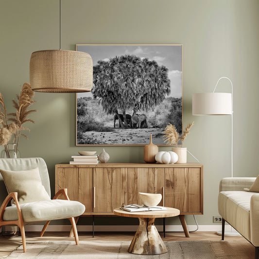 A black and white photograph of a small herd of elephants taking shelter from the sun under the dense foliage of a large palm tree in a dry, arid landscape. The photo is presented in a light wood frame. Poster