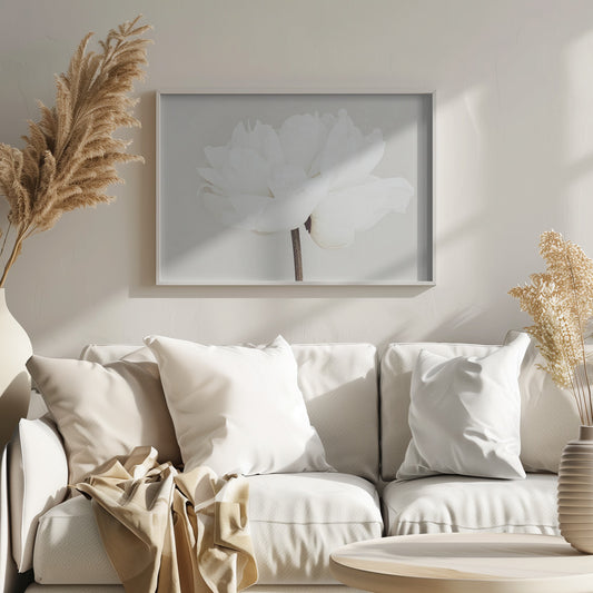 A close-up, slightly off-center photograph of a fully bloomed white peony against a plain, light grey background, presented in a silver brushed metal frame. Artwork