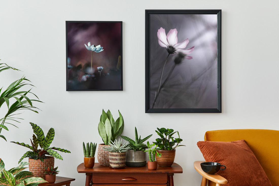 Posters med blommotiv