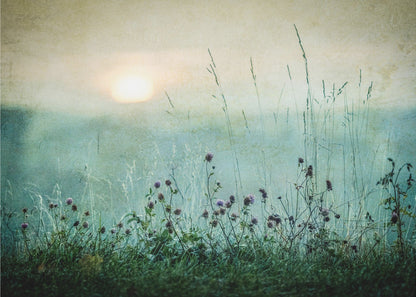 A framed photograph of a misty meadow at sunrise. The soft, pale sun hangs in a hazy, textured sky. In the foreground, tall green grasses and small purple wildflowers are in soft focus, creating a serene and dreamy atmosphere. Decor