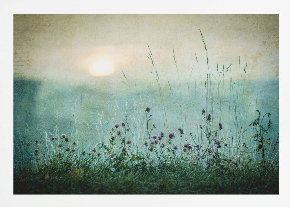 A framed photograph of a misty meadow at sunrise. The soft, pale sun hangs in a hazy, textured sky. In the foreground, tall green grasses and small purple wildflowers are in soft focus, creating a serene and dreamy atmosphere. Decor