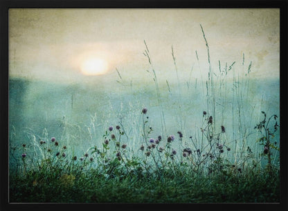 A framed photograph of a misty meadow at sunrise. The soft, pale sun hangs in a hazy, textured sky. In the foreground, tall green grasses and small purple wildflowers are in soft focus, creating a serene and dreamy atmosphere. Decor
