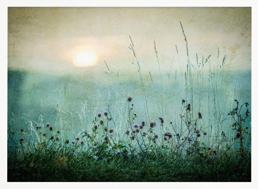 A framed photograph of a misty meadow at sunrise. The soft, pale sun hangs in a hazy, textured sky. In the foreground, tall green grasses and small purple wildflowers are in soft focus, creating a serene and dreamy atmosphere. Decor