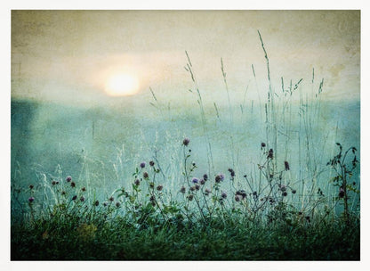 A framed photograph of a misty meadow at sunrise. The soft, pale sun hangs in a hazy, textured sky. In the foreground, tall green grasses and small purple wildflowers are in soft focus, creating a serene and dreamy atmosphere. Decor