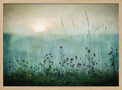 A framed photograph of a misty meadow at sunrise. The soft, pale sun hangs in a hazy, textured sky. In the foreground, tall green grasses and small purple wildflowers are in soft focus, creating a serene and dreamy atmosphere. Decor