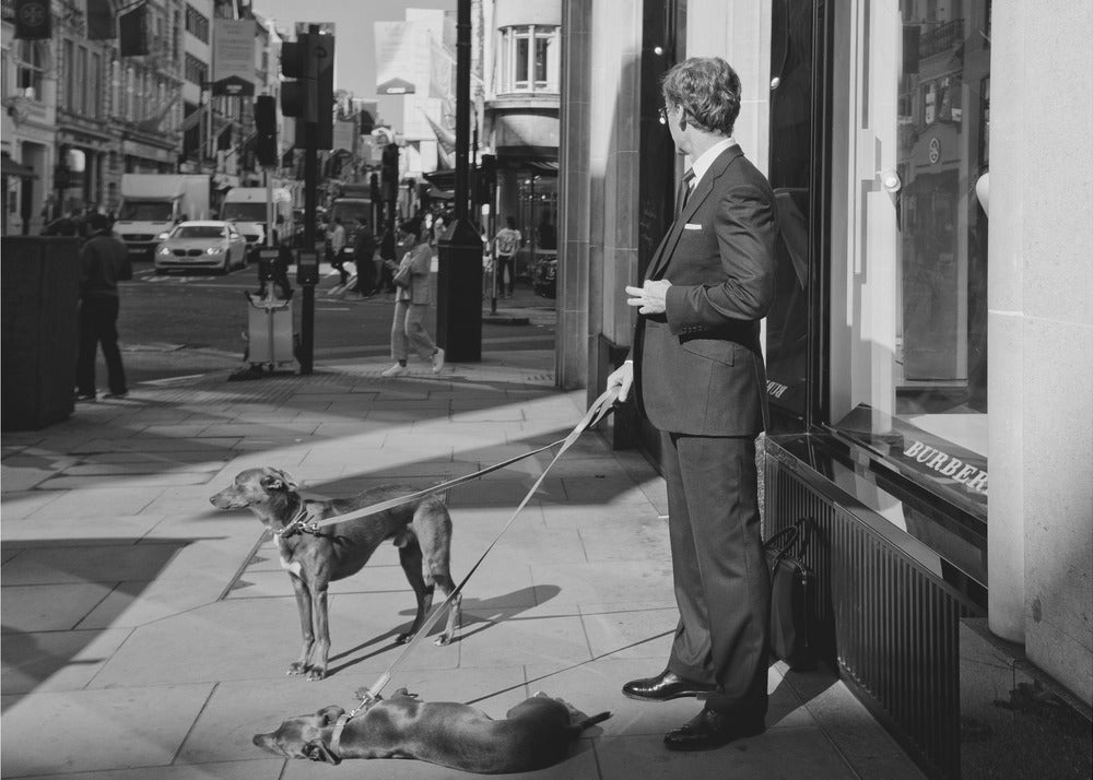 A black and white street photograph of a well-dressed man in a suit standing on a city sidewalk outside a storefront. He holds the leashes for two dogs; one is standing alert, and the other is lying on its back on the pavement. The background is a busy city street with traffic and pedestrians. Print