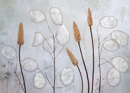 A framed botanical artwork featuring delicate dried stems of silver dollar plants (Lunaria annua) with their translucent white pods, alongside taller brown grasses. The arrangement is set against a muted, pale blue-gray background with faint floral imprints, creating a serene and natural composition. Wall Art