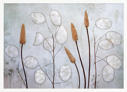 A framed botanical artwork featuring delicate dried stems of silver dollar plants (Lunaria annua) with their translucent white pods, alongside taller brown grasses. The arrangement is set against a muted, pale blue-gray background with faint floral imprints, creating a serene and natural composition. Wall Art