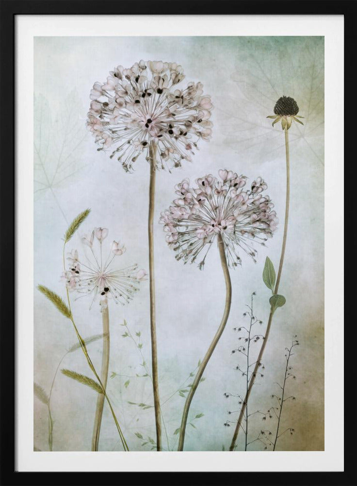 A framed botanical artwork featuring a variety of delicate wildflowers, including several large, round, light pink allium heads with dark centers, on long slender stems against a pale, textured green and beige background. Decor