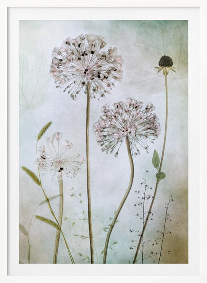 A framed botanical artwork featuring a variety of delicate wildflowers, including several large, round, light pink allium heads with dark centers, on long slender stems against a pale, textured green and beige background. Decor