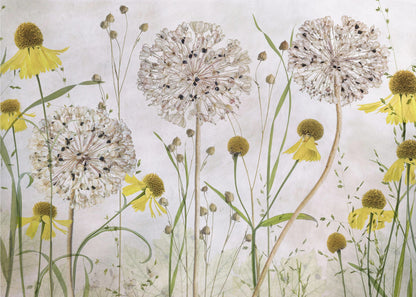 A framed botanical artwork featuring a delicate arrangement of pressed and dried flowers. Large, spherical white allium seed heads stand tall among numerous yellow coneflowers with prominent centers. Slender green stems and leaves fill the composition against a soft, light-textured background, creating a serene, natural scene. Decor