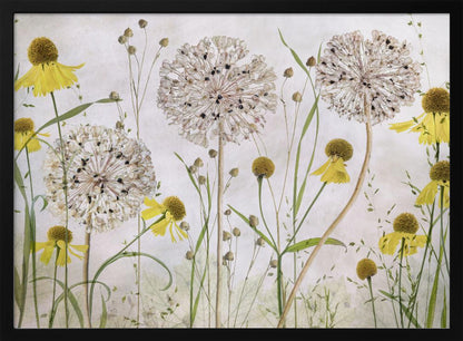 A framed botanical artwork featuring a delicate arrangement of pressed and dried flowers. Large, spherical white allium seed heads stand tall among numerous yellow coneflowers with prominent centers. Slender green stems and leaves fill the composition against a soft, light-textured background, creating a serene, natural scene. Decor