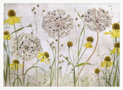 A framed botanical artwork featuring a delicate arrangement of pressed and dried flowers. Large, spherical white allium seed heads stand tall among numerous yellow coneflowers with prominent centers. Slender green stems and leaves fill the composition against a soft, light-textured background, creating a serene, natural scene. Decor