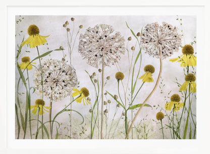 A framed botanical artwork featuring a delicate arrangement of pressed and dried flowers. Large, spherical white allium seed heads stand tall among numerous yellow coneflowers with prominent centers. Slender green stems and leaves fill the composition against a soft, light-textured background, creating a serene, natural scene. Decor
