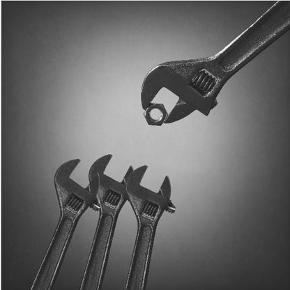 A conceptual black and white photograph in a light wood frame, depicting a large adjustable wrench holding a small nut above three smaller wrenches, which are angled upwards as if they were baby birds waiting to be fed. Print
