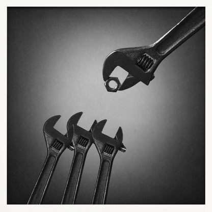 A conceptual black and white photograph in a light wood frame, depicting a large adjustable wrench holding a small nut above three smaller wrenches, which are angled upwards as if they were baby birds waiting to be fed. Print