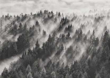A dramatic black and white photograph of a dense hillside forest shrouded in thick fog. Beams of sunlight pierce through the mist, creating strong light rays across the landscape, all enclosed within a silver frame. Artwork