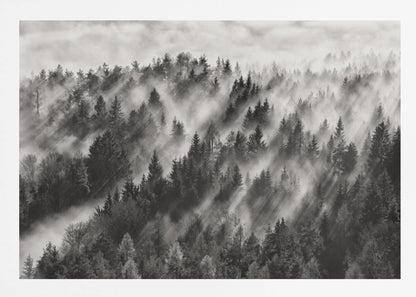 A dramatic black and white photograph of a dense hillside forest shrouded in thick fog. Beams of sunlight pierce through the mist, creating strong light rays across the landscape, all enclosed within a silver frame. Artwork