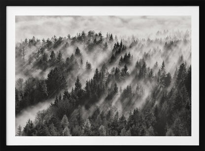 A dramatic black and white photograph of a dense hillside forest shrouded in thick fog. Beams of sunlight pierce through the mist, creating strong light rays across the landscape, all enclosed within a silver frame. Artwork
