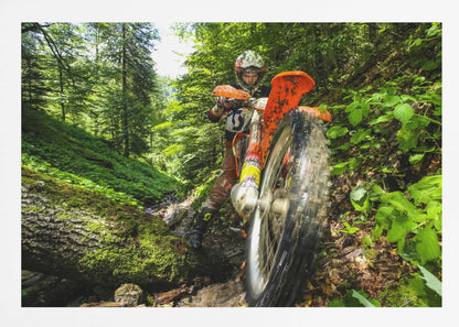 A motocross rider on an orange dirt bike tackles a muddy, wooded trail, maneuvering around a moss-covered log in a lush green forest, seen from a low-angle perspective. Decor