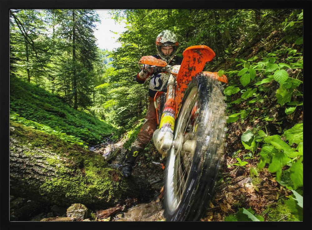 A motocross rider on an orange dirt bike tackles a muddy, wooded trail, maneuvering around a moss-covered log in a lush green forest, seen from a low-angle perspective. Decor