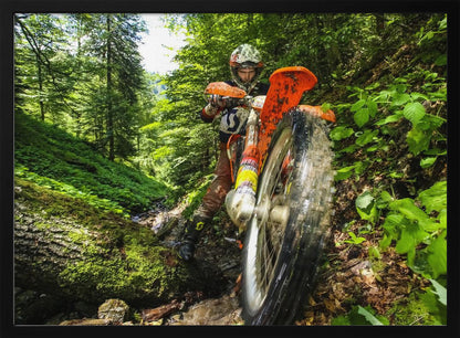 A motocross rider on an orange dirt bike tackles a muddy, wooded trail, maneuvering around a moss-covered log in a lush green forest, seen from a low-angle perspective. Decor