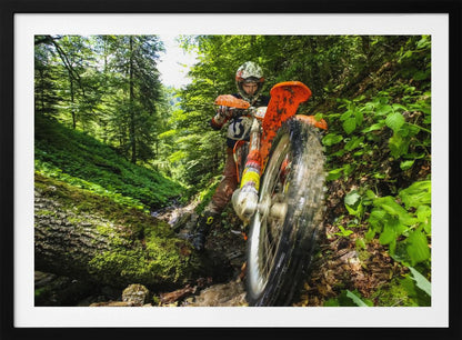 A motocross rider on an orange dirt bike tackles a muddy, wooded trail, maneuvering around a moss-covered log in a lush green forest, seen from a low-angle perspective. Decor