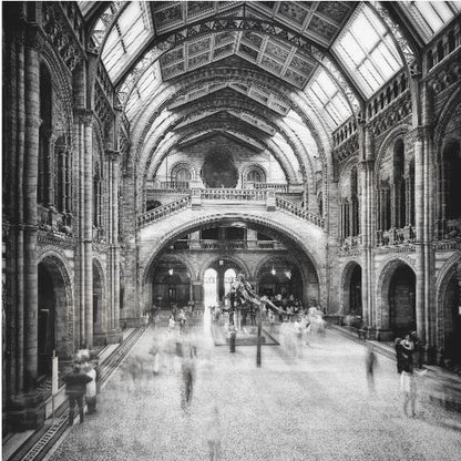 A black and white long exposure photograph of the grand hall of a natural history museum. The ornate, high-arched Romanesque architecture is in sharp focus, while a dinosaur skeleton stands in the center. Crowds of people are blurred into ghostly apparitions as they move through the vast space. Print