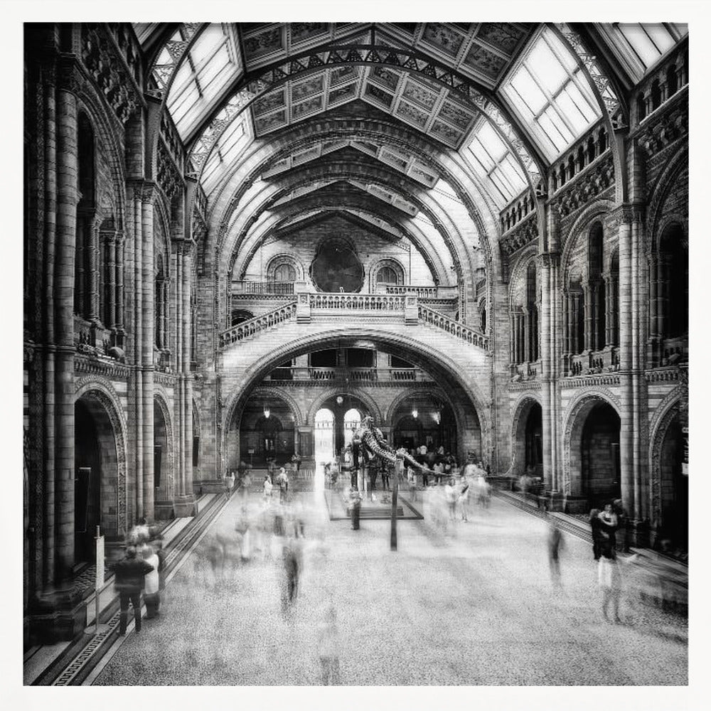 A black and white long exposure photograph of the grand hall of a natural history museum. The ornate, high-arched Romanesque architecture is in sharp focus, while a dinosaur skeleton stands in the center. Crowds of people are blurred into ghostly apparitions as they move through the vast space. Print