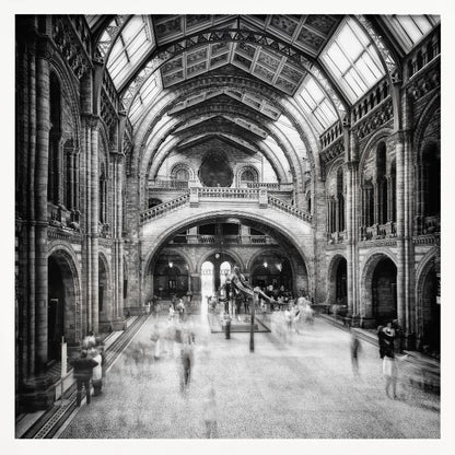 A black and white long exposure photograph of the grand hall of a natural history museum. The ornate, high-arched Romanesque architecture is in sharp focus, while a dinosaur skeleton stands in the center. Crowds of people are blurred into ghostly apparitions as they move through the vast space. Print