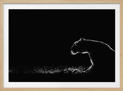 A dramatic black and white photograph of a tiger at night, captured in profile. A strong rim light outlines the silhouette of the tiger's head, back, and front leg against a pure black background, highlighting the texture of its fur as it stalks through low-lit foliage. The entire image is enclosed in a silver frame. Artwork