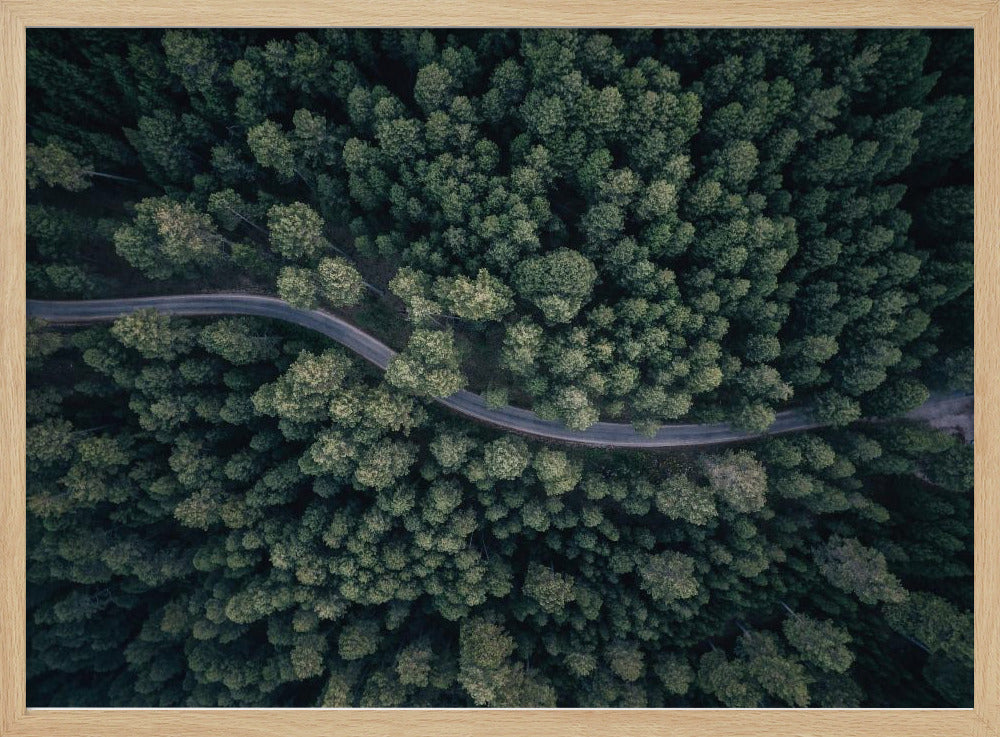 An aerial, top-down photograph of a winding grey road cutting through a vast, dense forest of dark green pine trees, framed in a simple silver border. Decor