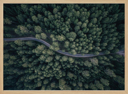 An aerial, top-down photograph of a winding grey road cutting through a vast, dense forest of dark green pine trees, framed in a simple silver border. Decor