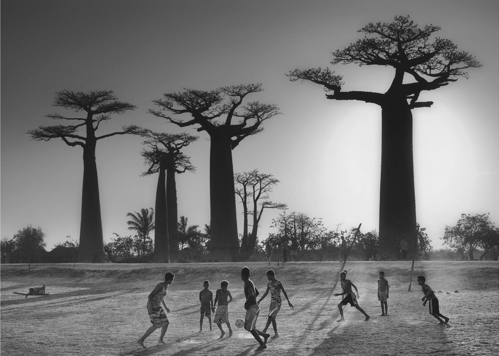 A framed, black and white photograph capturing a vibrant scene of several children playing soccer on a dirt field. In the background, the iconic silhouettes of large Baobab trees stand tall against a bright, hazy sun, casting long shadows of the players across the ground. Artwork