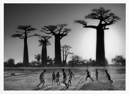 A framed, black and white photograph capturing a vibrant scene of several children playing soccer on a dirt field. In the background, the iconic silhouettes of large Baobab trees stand tall against a bright, hazy sun, casting long shadows of the players across the ground. Artwork