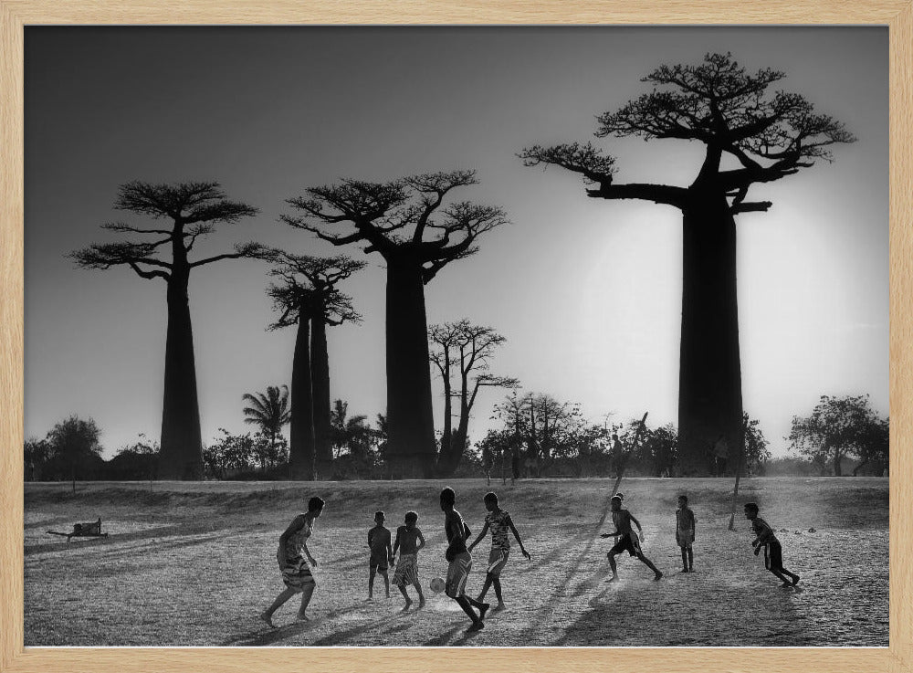 A framed, black and white photograph capturing a vibrant scene of several children playing soccer on a dirt field. In the background, the iconic silhouettes of large Baobab trees stand tall against a bright, hazy sun, casting long shadows of the players across the ground. Artwork