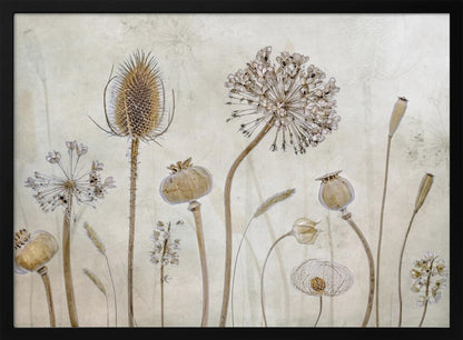 A framed botanical artwork featuring a variety of dried flower heads and seed pods in earthy brown and beige tones. The arrangement, which includes a prominent teasel, poppy pods, and a large allium, is set against a subtle, textured cream background. Print
