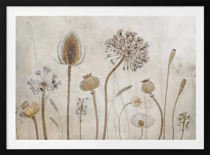 A framed botanical artwork featuring a variety of dried flower heads and seed pods in earthy brown and beige tones. The arrangement, which includes a prominent teasel, poppy pods, and a large allium, is set against a subtle, textured cream background. Print