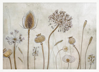 A framed botanical artwork featuring a variety of dried flower heads and seed pods in earthy brown and beige tones. The arrangement, which includes a prominent teasel, poppy pods, and a large allium, is set against a subtle, textured cream background. Print