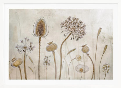 A framed botanical artwork featuring a variety of dried flower heads and seed pods in earthy brown and beige tones. The arrangement, which includes a prominent teasel, poppy pods, and a large allium, is set against a subtle, textured cream background. Print