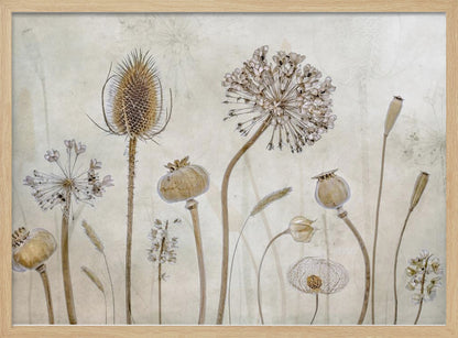 A framed botanical artwork featuring a variety of dried flower heads and seed pods in earthy brown and beige tones. The arrangement, which includes a prominent teasel, poppy pods, and a large allium, is set against a subtle, textured cream background. Print