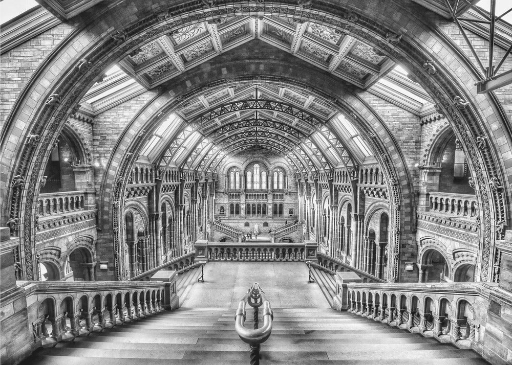 A dramatic black and white photograph of the grand interior of the Natural History Museum in London, taken from the top of the main staircase looking down into the vast Hintze Hall. The symmetrical composition highlights the ornate Romanesque Revival architecture, with its towering stone arches, intricate carvings, and a high, vaulted ceiling with skylights. Artwork