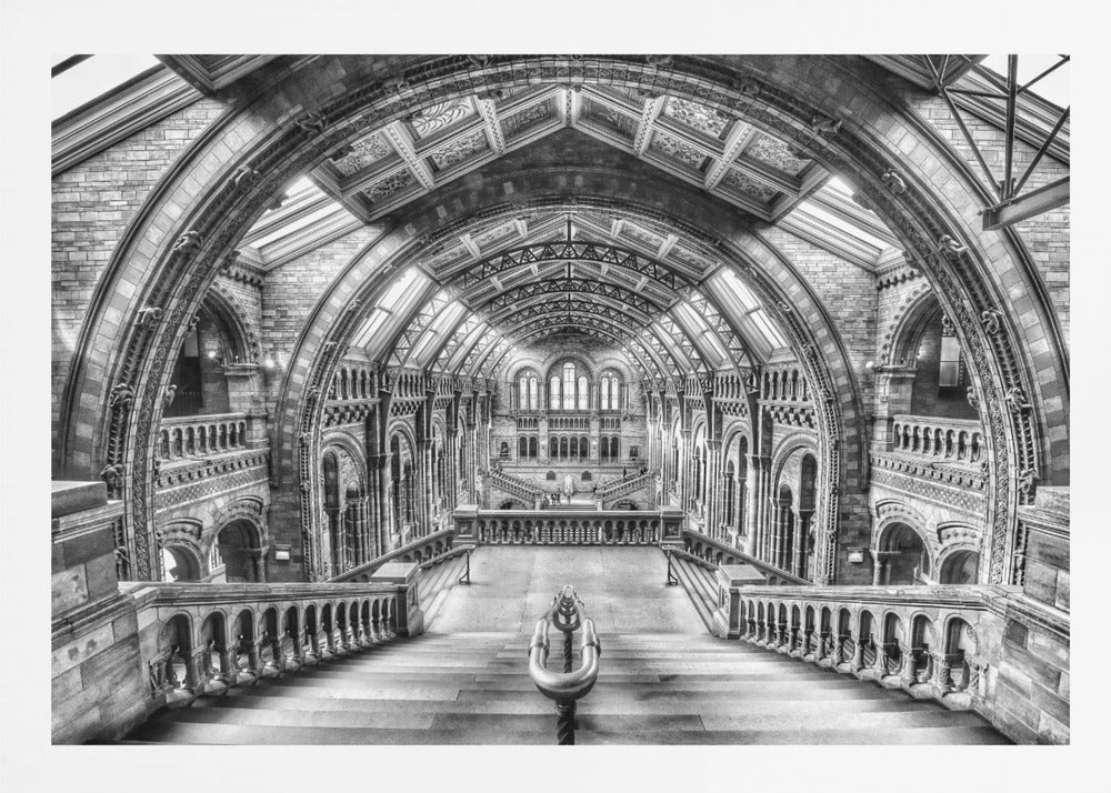 A dramatic black and white photograph of the grand interior of the Natural History Museum in London, taken from the top of the main staircase looking down into the vast Hintze Hall. The symmetrical composition highlights the ornate Romanesque Revival architecture, with its towering stone arches, intricate carvings, and a high, vaulted ceiling with skylights. Artwork