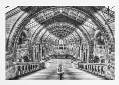 A dramatic black and white photograph of the grand interior of the Natural History Museum in London, taken from the top of the main staircase looking down into the vast Hintze Hall. The symmetrical composition highlights the ornate Romanesque Revival architecture, with its towering stone arches, intricate carvings, and a high, vaulted ceiling with skylights. Artwork