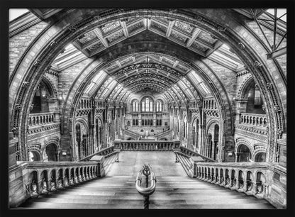 A dramatic black and white photograph of the grand interior of the Natural History Museum in London, taken from the top of the main staircase looking down into the vast Hintze Hall. The symmetrical composition highlights the ornate Romanesque Revival architecture, with its towering stone arches, intricate carvings, and a high, vaulted ceiling with skylights. Artwork