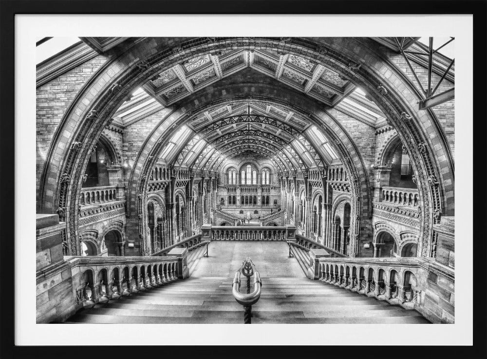 A dramatic black and white photograph of the grand interior of the Natural History Museum in London, taken from the top of the main staircase looking down into the vast Hintze Hall. The symmetrical composition highlights the ornate Romanesque Revival architecture, with its towering stone arches, intricate carvings, and a high, vaulted ceiling with skylights. Artwork
