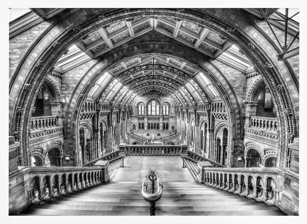 A dramatic black and white photograph of the grand interior of the Natural History Museum in London, taken from the top of the main staircase looking down into the vast Hintze Hall. The symmetrical composition highlights the ornate Romanesque Revival architecture, with its towering stone arches, intricate carvings, and a high, vaulted ceiling with skylights. Artwork