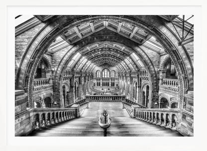 A dramatic black and white photograph of the grand interior of the Natural History Museum in London, taken from the top of the main staircase looking down into the vast Hintze Hall. The symmetrical composition highlights the ornate Romanesque Revival architecture, with its towering stone arches, intricate carvings, and a high, vaulted ceiling with skylights. Artwork