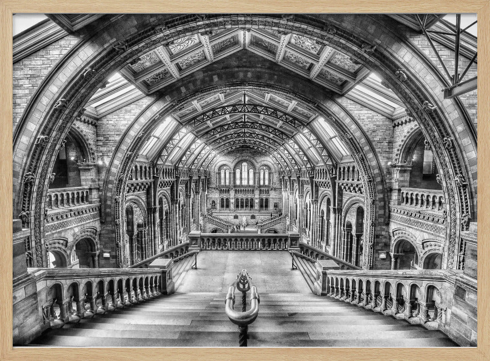 A dramatic black and white photograph of the grand interior of the Natural History Museum in London, taken from the top of the main staircase looking down into the vast Hintze Hall. The symmetrical composition highlights the ornate Romanesque Revival architecture, with its towering stone arches, intricate carvings, and a high, vaulted ceiling with skylights. Artwork