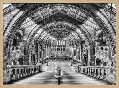A dramatic black and white photograph of the grand interior of the Natural History Museum in London, taken from the top of the main staircase looking down into the vast Hintze Hall. The symmetrical composition highlights the ornate Romanesque Revival architecture, with its towering stone arches, intricate carvings, and a high, vaulted ceiling with skylights. Artwork